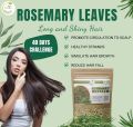 Rosemary Leaves | Best for Hair Growth | 250 g. 