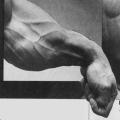 Strength Training Grip Power Wrist Hand. 