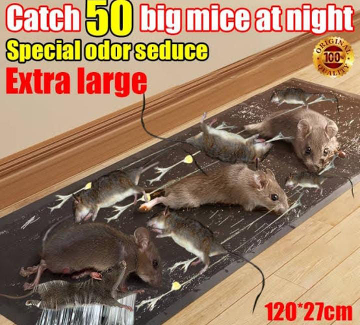 Pvc Sheet Tree Rats Extra Large Rat & Mouse Glue Trap Sheet 120×28cm | Strong Sticky Pest ...
