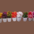 Pack of 7 Mini Plants Artificial Plants Decoration Piece with Pot | Mini Planters Bonsai Artificial Plants for Home Decor | Decorative Plants Artificial Flowers with Pot. 