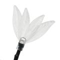 4.8M 20LED Solar Powered Four Leaf Waterproof String Lights Lamp Warm White/White/Multicolor. 