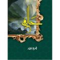 Haalim novel by nimra ahmed. 