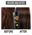 Lichen Argan Oil Shampoo for Dry Hair 400ML - Sulfate Free Shampoo for Damaged Hair and Frizz with Argan Oil for Hair - Volumizing Shampoo for Hair Shine and Volume Featuring Ultra Moisturizing Natural Oils (Pro Collection). 