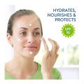 Cetaphil Daily Facial Moisturizer 118ml with Sunscreen 15 SPF | 4 Ounce. 
