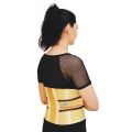 Lumbo Sacral Support (Spinal Belt). 