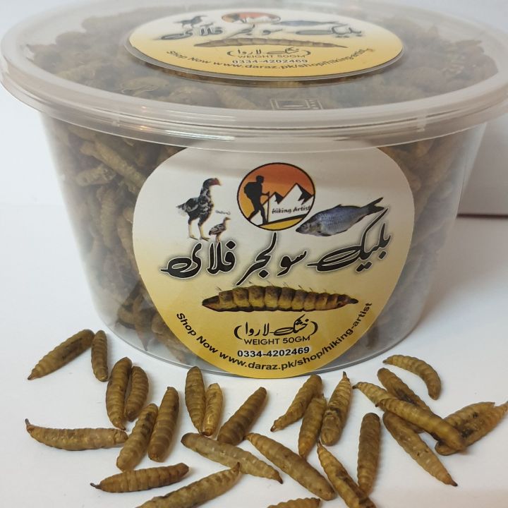 Black soldier flies Dried larvae (50 grams) {BSFL}