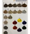 Eazicolor Professional Hair Color Tube With Developer (All Shades). 