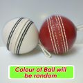 Hanging Practice Ball with and without elastic/rope Hangable Practice ball for Shots Practice Indoor Hangable Practice Ball to play cricket by your own | by Partners Collections. 