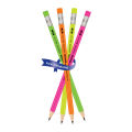 Goldfish Raushan 12 Pcs HB Fluorescent Body Pencils with Matching Eraser. 