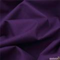 Purple Lawn 2-Piece Suit Unstitched – High-Quality Fabric for Custom Design. 