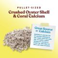 Crushed Oyster Shell for Chickens – Calcium Supplement for Laying Hens to Support Strong Eggshells – Natural Poultry Mineral Feed for Backyard Chickens – 500 g. 