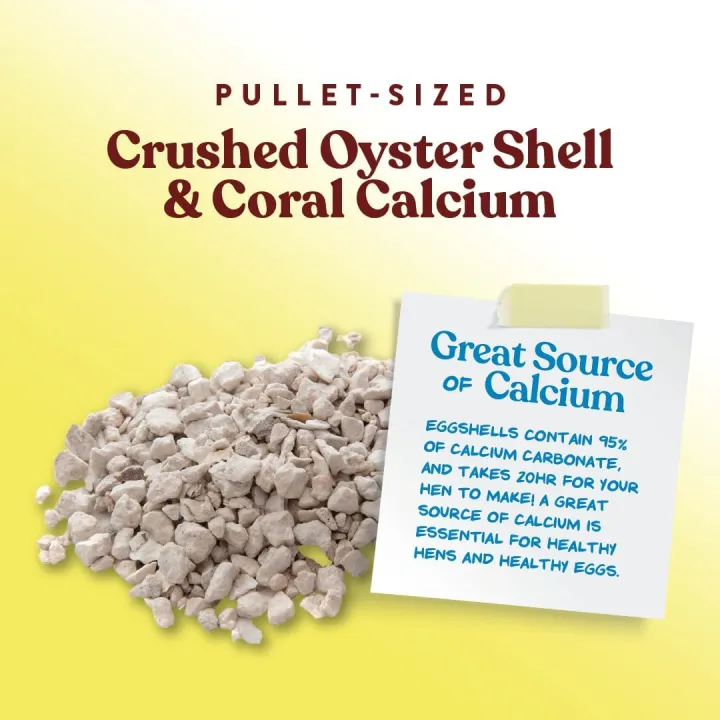 Crushed%20Oyster%20Shell%20for%20Chickens%20%E2%80%93%20Calcium%20Supplement%20for%20Laying%20Hens%20to%20Support%20Strong%20Eggshells%20%E2%80%93%20Natural%20Poultry%20Mineral%20Feed%20for%20Backyard%20Chickens%20%E2%80%93%20500%20g%20-%20Image%206