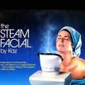 The Steam Facial - Steamer & Inhaler, Durable Material. 