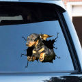 Decorative Sticker Realistic Car 3D Stickers Animal Funny Crack Decals. 
