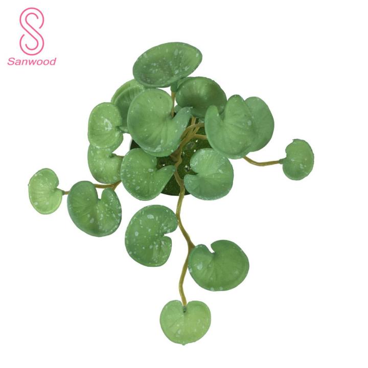 Plant Non-fading Hydrocotyle Vulgaris Plant