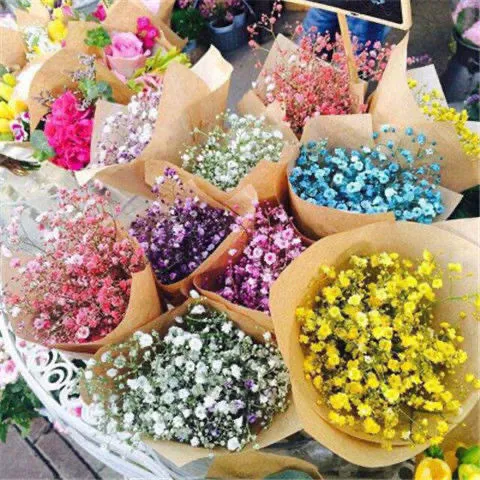 30+%20Gypsophila%20/%20Baby%20Breath%20Mix%20Color%20Flower%20Seeds%20Home%20Kitchen%20Gardening%20-%20Image%208