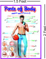 4 Educational Classroom Poster Panaflex Home School Decoration Nursery 102. 