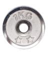 Weight Metal Plate - 1KG - Silver. 