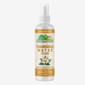 Chamomile Floral Water – Reduce Redness, Irritation, Makes Skin Soft & Radiant [Toner]. 