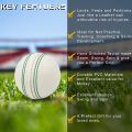 5RIDGE 3PCS Cricket Balls for Training - Soft & Safe Rubber Practice Cricket Ball Series for T20 and Test Match | White and Red. 