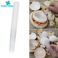 Green Home Coconut Shaver Professional Coconut Egg Scraper Coconut Meat Extractor. 