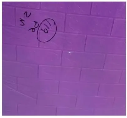 %EF%81%AC3D%20Brick%20Wallpaper%20PE%20Foam%20Self%20Adhesive%20Brick%20Design%20Wall%20Stickers/DIY%20Wallpaper/Panel%20for%20Home%20Hotel%20Living%20Room%20Bedroom%20Cafe%20Waterproof%20Thickness%203mm%20Size%20(70%20x%2077cm)%20Multi%20color%20-%20Image%209