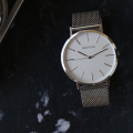 Niovani Legacy - Unisex - Sparkling Pure 316L Surgical Grade Stainless Steel - Adjustable Mesh Steel Strap - 2 Year Warranty - Free Box Packaging. 
