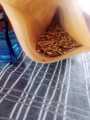 Snack Jar 6 Seeds Mix | Power Packed Superfood Snack | Rich in Protein, Fiber & Omega-3 | 200g. 