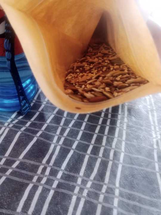 Snack%20Jar%206%20Seeds%20Mix%20%7C%20Power%20Packed%20Superfood%20Snack%20%7C%20Rich%20in%20Protein,%20Fiber%20&%20Omega-3%20%7C%20200g%20-%20Image%202