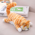 YBC Children Cute Electric Ragdoll Cat Dolls Plush Toy Sound Motor Kids Toys Gifts. 