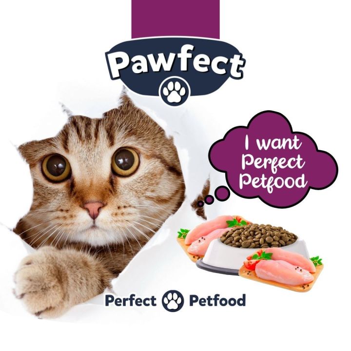 Pawfect Kitten Dry Cat Food All Breed Kitten Food Mother and Baby Best For Pregnant Cats and Kitten Chicken Flavor 1.2 KG Daraz.pk