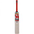 CA 5000 plus cricket bat. 