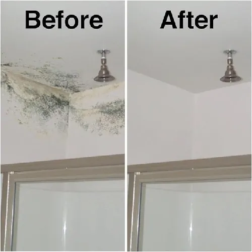 Astonish%20Mould%20Blast%20Stain%20Remover%20Trigger%20750ml%20IMPORTED,%20Extra%20Strength%20-%20Image%204
