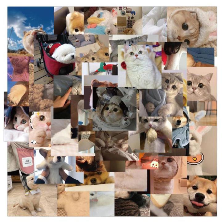 48Pcs Cat Stickers For Luggage Guitar Stationery Fridge PVC Graffiti Sticker