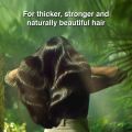Pure Coconut Hair Oil 170ml. 