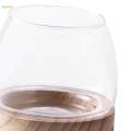 Glass Planter Plant Propagating Jar Desktop Planter for Home Indoor Garden Small. 