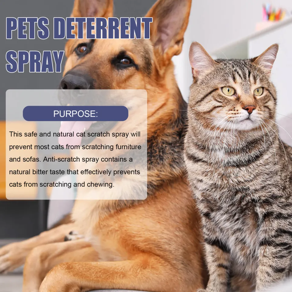 Green Home Pet Anti Scratch Spray Portable Natural Bitterness Repellant Spray