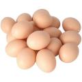 Pack of 6 Artificial Plastic Eggs for Broody Hen | Chicken Eggs | Dummy Eggs. 