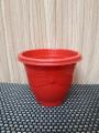 Set of 6 Cute plastic Pots for Seedling Cactus Succulent Flower pot. 