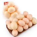 10 Pcs -  Artificial Plastic Egg Shell (Basic Learning Egg for Kids) Artificial Eggs - Hollow Egg Shell. 