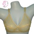 Seamless Net Bra For Women Transparent Bra , Jaali Braziers. 
