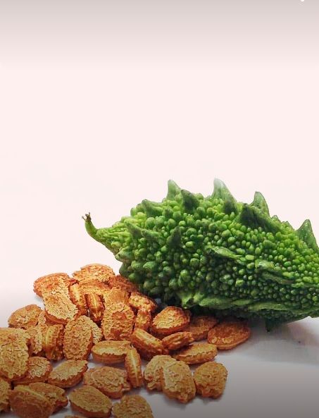 Karela%20(Bitter%20gourd%20,%DA%A9%D8%B1%DB%8C%D9%84%D8%A7)%20F1%20summer%20Vegetable%20seeds%20-%20Image%203