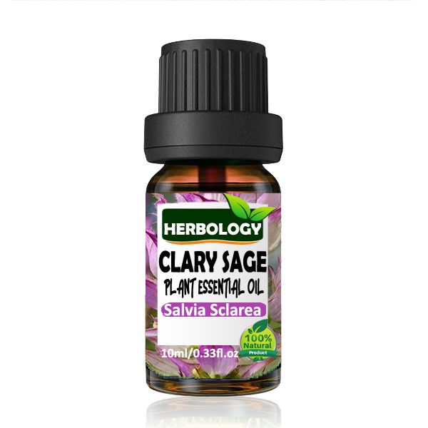 Herbology Clary Sage Essential Oil , 100% Pure Therapeutic Grade, Steam Distilled, 100% Pure, Vegan, Aromatherapy, Diffuser, Ceramic Diffuser, Pure, Concentrated, EO, Aroma Diffuser