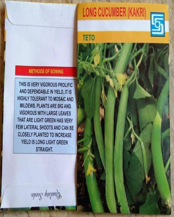 Long%20Cucumber%20(Kakri)%20-%20Image%204