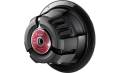 Pioneer TS-W310S4 Champion Series 12" 4-ohm subwoofer, best price in pakistan. 