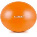 Gym Ball - Brand Liveup Sports - Product Anti Burst Gym Ball - Size 65cm - Code LS3222. 