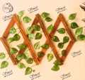 Artificial Money Plant Wooden Green Leaf Fence 2 Feet Retractable Climbing Frame for Home Gardening and Decoration. 