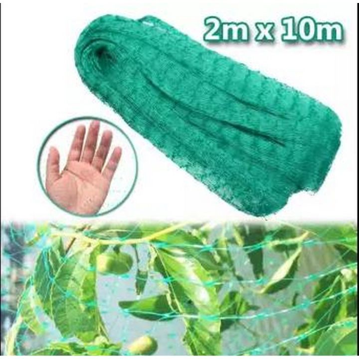 Anti Bird Net - Nylon Netting for Protection Against Birds and Pests - Balcony Safety Net 2 x 10 meter (IMPORTED)