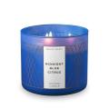 Bath and Body Works MIDNIGHT BLUE CITRUS Apple 3-Wick Scented Candle 14.5 oz / 411 g BBW. 