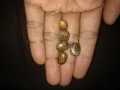 10 Castor oil seeds 100percent germinate for grow caster plant Eranda ( Ricinus communis ), oiling experimentation decoration castor beans garand tree use for many purpose. 